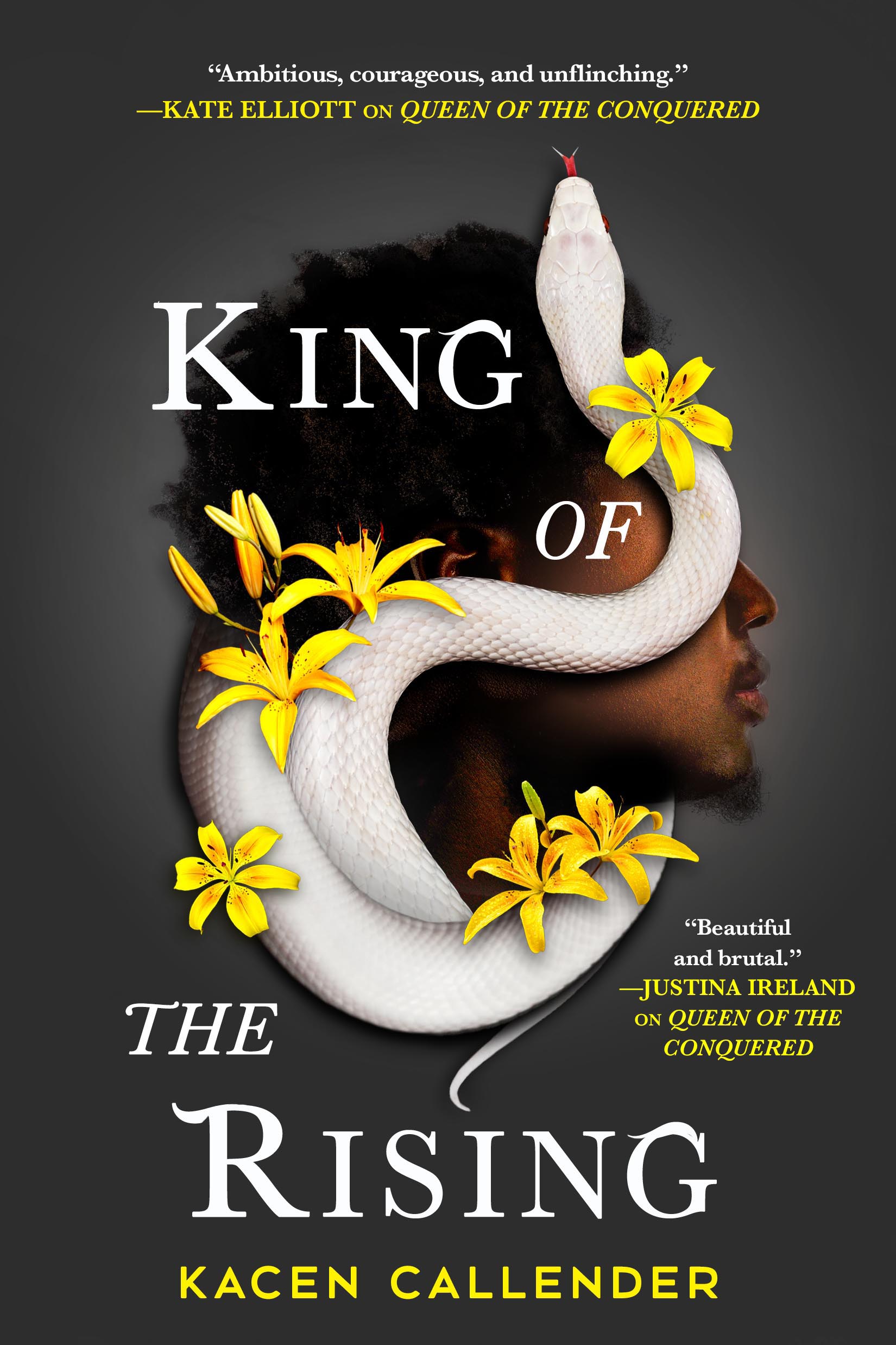 King and the Dragonflies by Kacen Callender