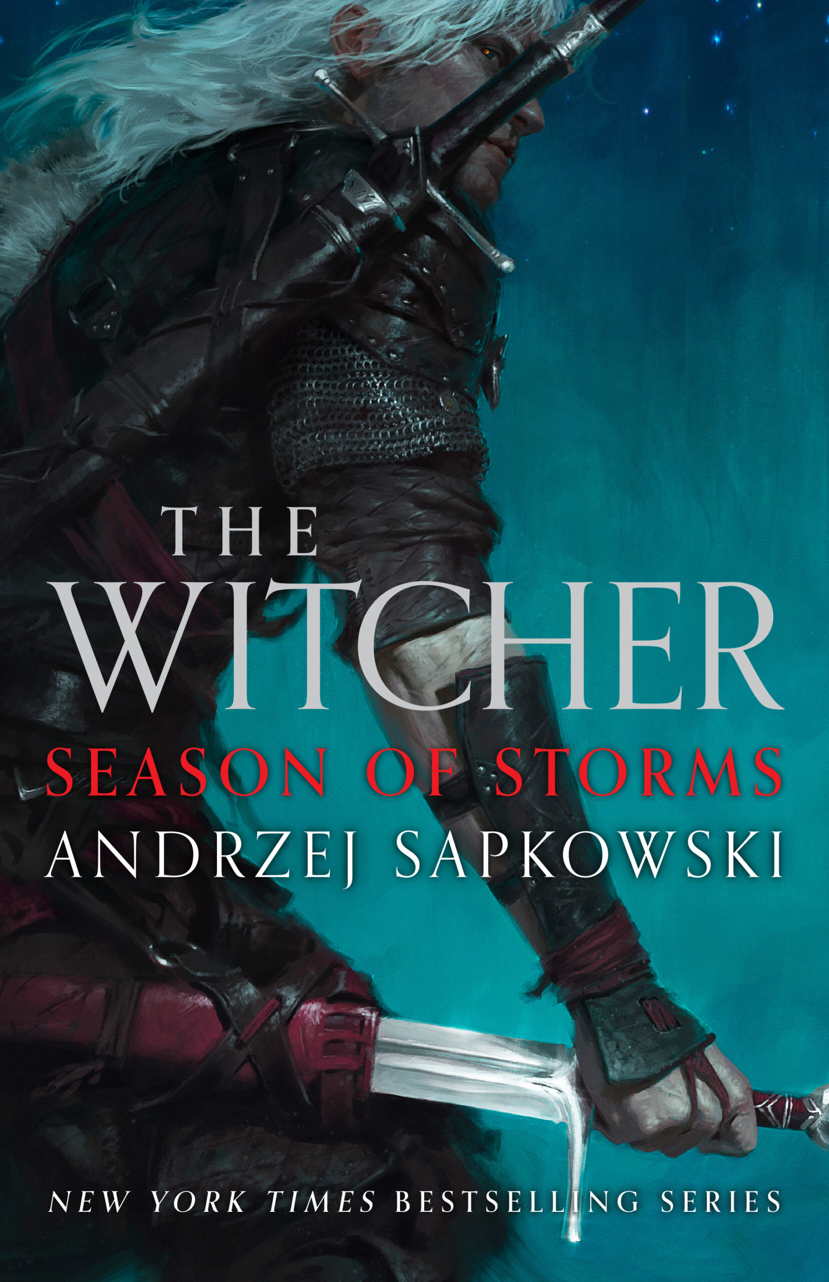 the witcher series book review